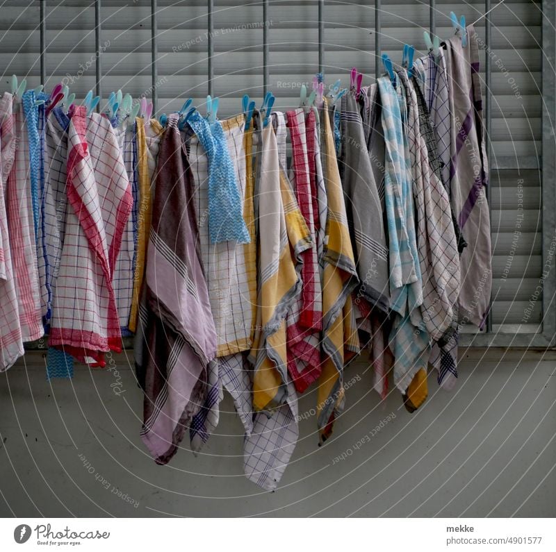 Trockentücher beim Trocknen auf der Trockenleine Tuch Abtrocknen Abtrockentuch abtrocknen Handtuch Sauberkeit Küche Haushalt aufhängen Wäsche Wäscheleine