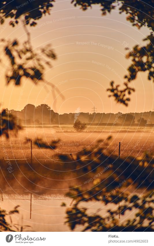 Felder mit Nebel im Sonnenaufgang Wiese Morgen Landschaft Natur Morgendämmerung Außenaufnahme Baum Sonnenuntergang Herbst Sonnenlicht Menschenleer Umwelt