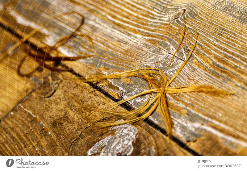 Beim Friseur (Abgeschnittene Haare auf Holzdielen) Holzfußboden Bodenbelag braun Dielenboden Muster Strukturen & Formen Detailaufnahme Menschenleer Haarsträhnen
