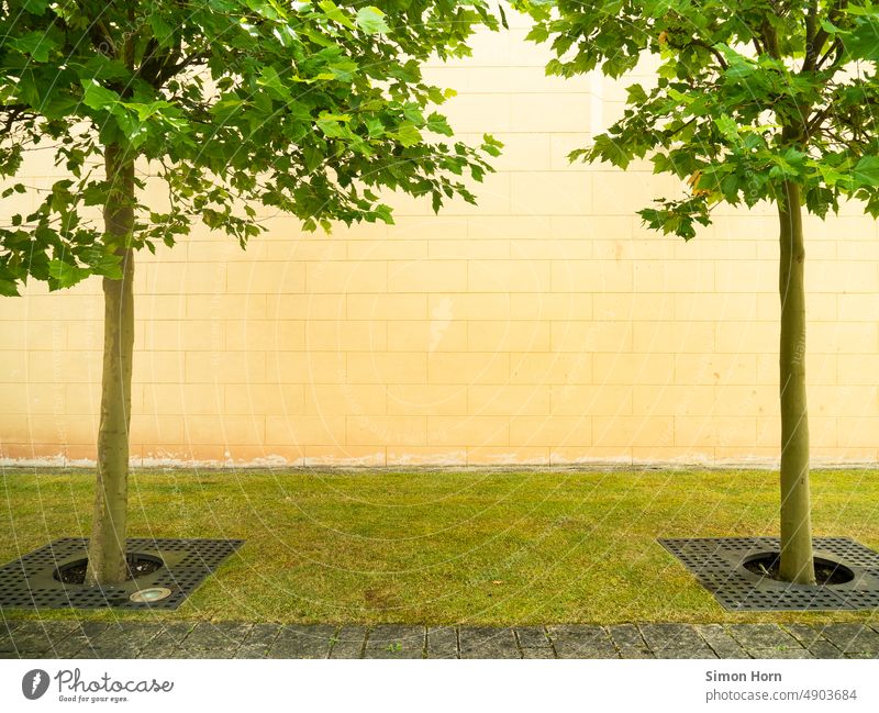 Bäume umranden Mauerfläche Fläche Fassade Rahmen eingerahmt Symmetrie Strukturen & Formen Textfreiraum Mitte Linie Grünstreifen kultiviert Wand Architektur