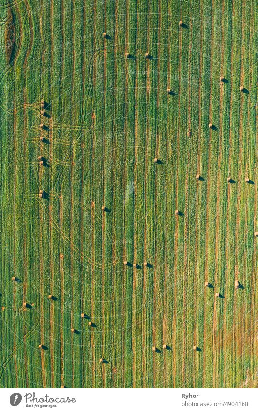 Luftaufnahme von Sommer Feld Landschaft mit mit trockenen Heuballen während der Ernte. Trails Lines auf Ackerland. Top View Landwirtschaftliche Landschaft. Drone Ansicht. Vogelperspektive