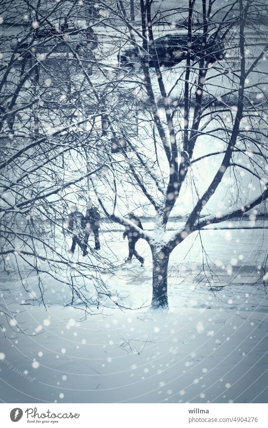 Schnee fällt in der Stadt Schneeflocken winterlich Winter schneebedeckt Fußgänger Straße Autos Baum kahl Flockenwirbel kalt Glatteis Stadtwinter