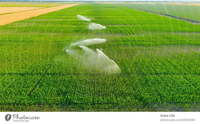 Blick von oben auf einen landwirtschaftlichen Hochdruck-Wassersprinkler, der Wasserstrahlen zur Bewässerung von Maiskulturen aussendet Antenne Ackerbau Müsli