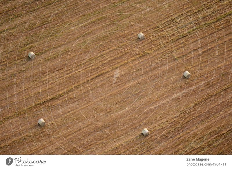 Heurollen (Heuballen) auf einem Feld, Luftaufnahme Heuröllchen Sommer Landwirtschaft Ackerbau Stroh Landschaft Strohballen Wiese Korn gelb Europa Antenne