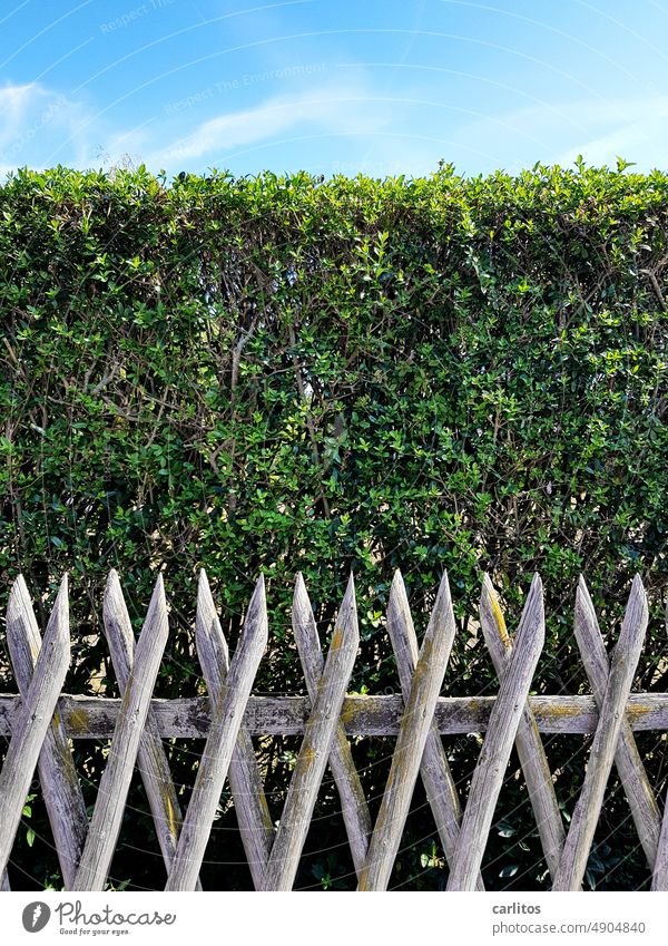 Blau Grün Grau | Himmel Hecke Zaun Ordnung Trennung Grenze Garten Nachbar Natur Grundstück grenze nachbarschaft kleingarten pflanze kleingartenkolonie