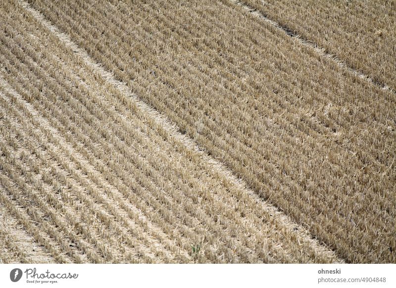 Ein gemähtes, abgeerntetes Getreidefeld Trockenheit Klimawandel Dürre Ackerbau Stoppelfeld Weizen Gerste Roggen Feld Kornfeld Landwirtschaft Ernte Ernährung