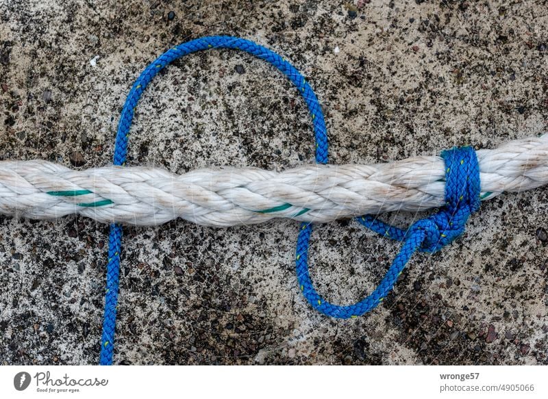 Seemannsknoten Leine Segelknoten Seil maritim Hafen Außenaufnahme Farbfoto Menschenleer Tag Nahaufnahme