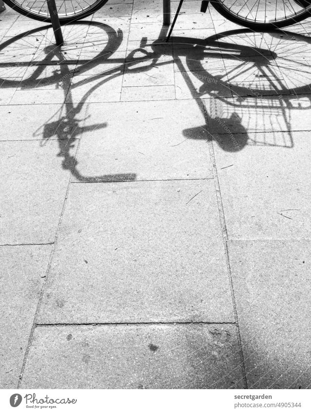 Oben ohne Rad Fahrrad Bürgersteig Schwarzweißfoto Schattenspiel Schattenseite Schattendasein Außenaufnahme Licht Straße Kontrast Schattenwurf Sonnenlicht