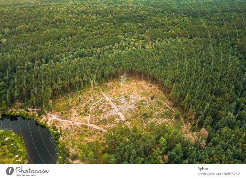 Luftaufnahme Grüner Wald Abholzung Bereich Landschaft. Top View of Beautiful European Nature From High Attitude In Summer Season. Drone Ansicht. Vogelperspektive Ansicht
