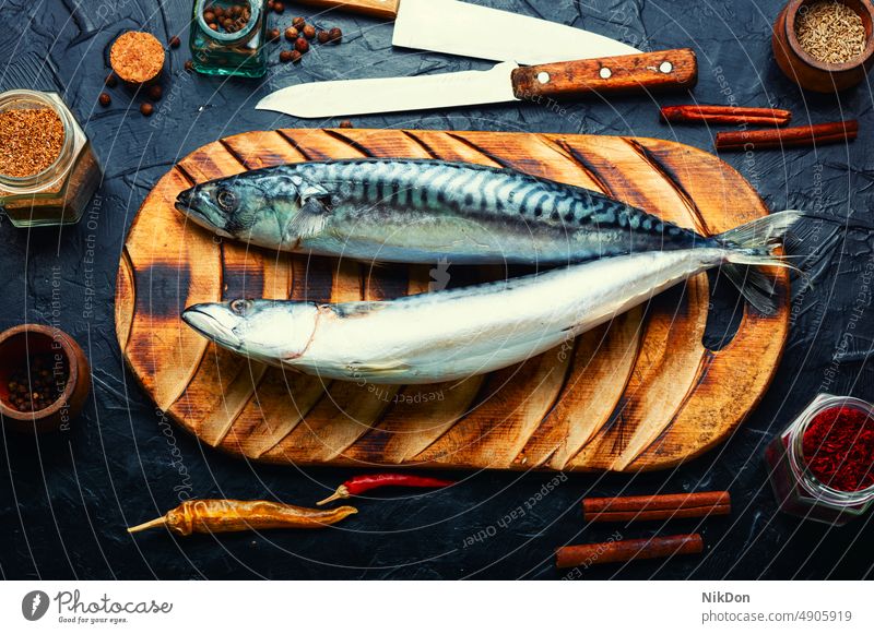 Frischer, roher Kammmuschelfisch Makrele Fisch scomber Lebensmittel ungekocht Meeresfrüchte frisch Bestandteil marin Ernährung geschmackvoll lecker essen ganz