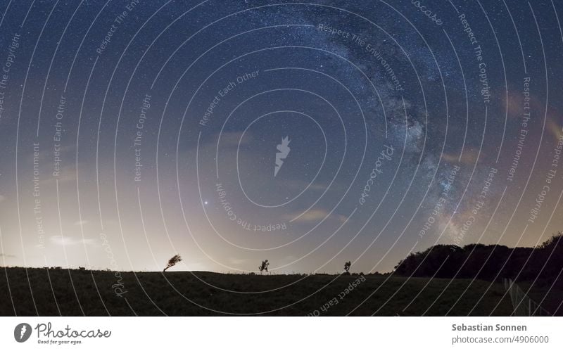 Silhouetten von kleinen Bäumen auf einer Weide mit Milchstraße am Nachthimmel im Sommer, Normandie, Frankreich Himmel Galaxie Stern Hintergrund Baum dunkel Raum