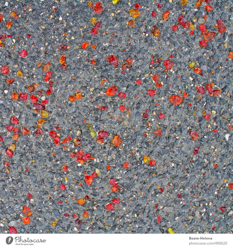!trash! 2013 | Party Fußboden Lifestyle Bodenbelag Straße Wege & Pfade Stein glänzend Coolness frech trendy Stadt gelb grau orange rot Straßenbelag Farbfleck