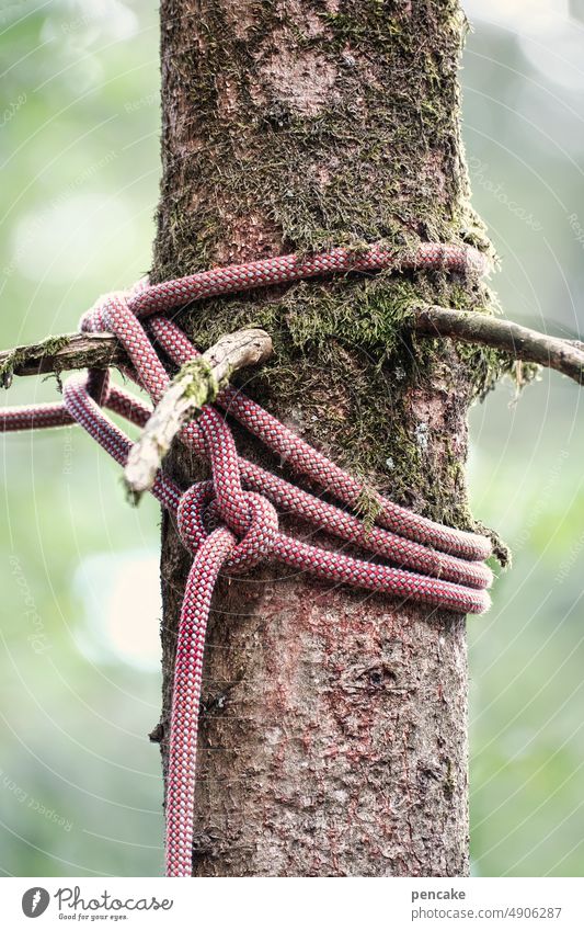 tatort | marterpfahl Baum Seil Strick Knoten Nahaufnahme Strukturen & Formen Detailaufnahme Schnur festbinden fesseln Wald klettern Kletterseil spielen sichern