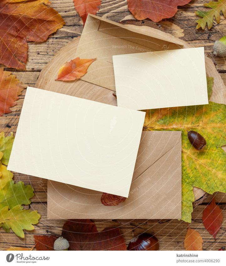 Karten zwischen bunten Herbstblättern und Beeren auf Holztisch Draufsicht, rustikales Mockup Tisch Postkarte Attrappe Einstellung Kuvert Einladung Blätter