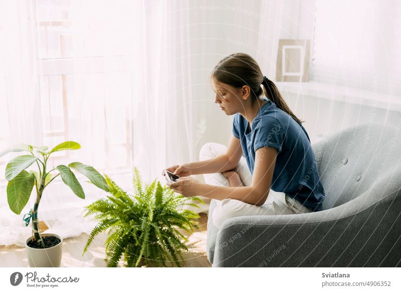 Ein junges Mädchen sitzt auf einem Stuhl und tauscht online Nachrichten über ihr Telefon aus. Freizeit zu Hause, moderner Lebensstil Schüler Sitzen