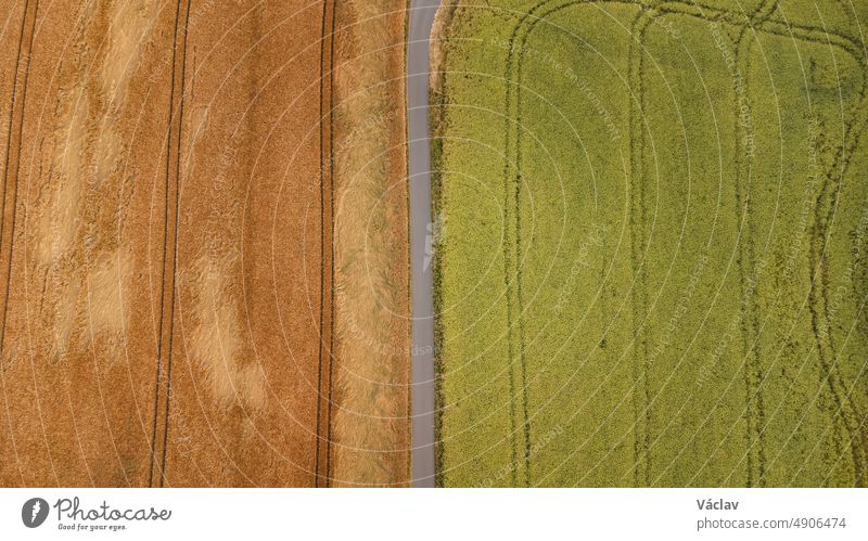 Blick auf ein Getreidefeld und Felder mit unterschiedlicher Vegetation in der Nähe von Kyjov, Südmähren, Tschechische Republik. Landschaft mit landwirtschaftlichen Feldern. Landwirtschaftliche Produktivität