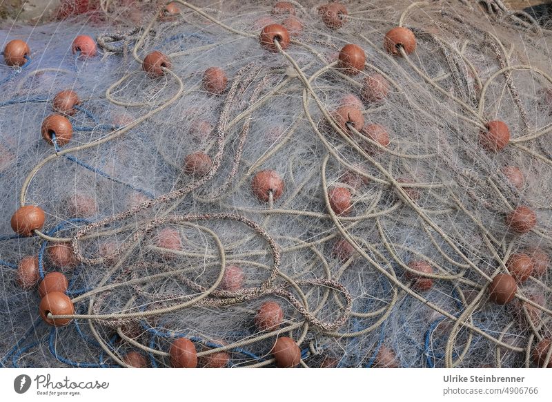 Zartes Fischernetz Auftriebshilfe Gespinst zart Knoten Fischfang Netz Netzwerk Fangvorrichtung Fischereiwirtschaft Strukturen & Formen Leine Tau Seil fangen