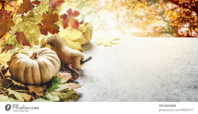 Schöne Outdoor-Herbst Hintergrund mit Kürbis, Herbstblätter mit Sonnenlicht und gelbes Laub. Herbsthintergrund schön im Freien Herbstlaub Tisch Vorderansicht