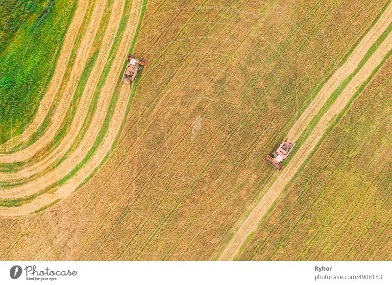 Luftaufnahme einer ländlichen Landschaft. Zwei Mähdrescher Mähdrescher arbeiten im Feld, sammelt Saatgut. Ernte von Weizen im Spätsommer. Landwirtschaftliche Maschine Sammeln Golden Ripe. Vogelperspektive Drohne Ansicht