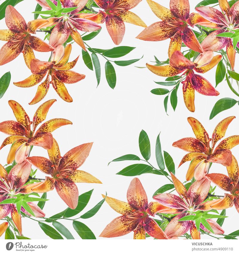 Schöne Lily Blumen Muster Rahmen auf weißem Hintergrund. schön Lilien weißer Hintergrund Design übergangslos geblümt botanisch braun kreisen grün Blatt Blätter