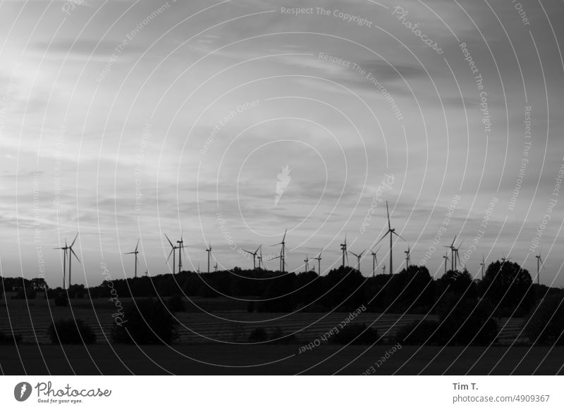 Windenergie in Brandenburg s/w Dämmerung Skyline Schwarzweißfoto Tag b/w Außenaufnahme Menschenleer b&w Alternative Energie Energiewirtschaft Windpark