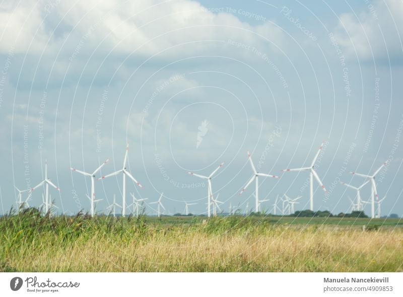 Typische Landchaft in Schleswig-Holstein Windpark Windparkanlage Energie windernergie Umwelt Lanschaft Landschaftsaufnahme Landleben Sommer sommerlich Feld