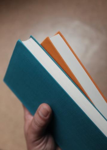 Literatur über Literatur blau orange Novelle genre Nachschlagen Student hobby bildung Buchhandlung Textfreiraum Fachbuch Kunst Stapel Buecherwurm suchen