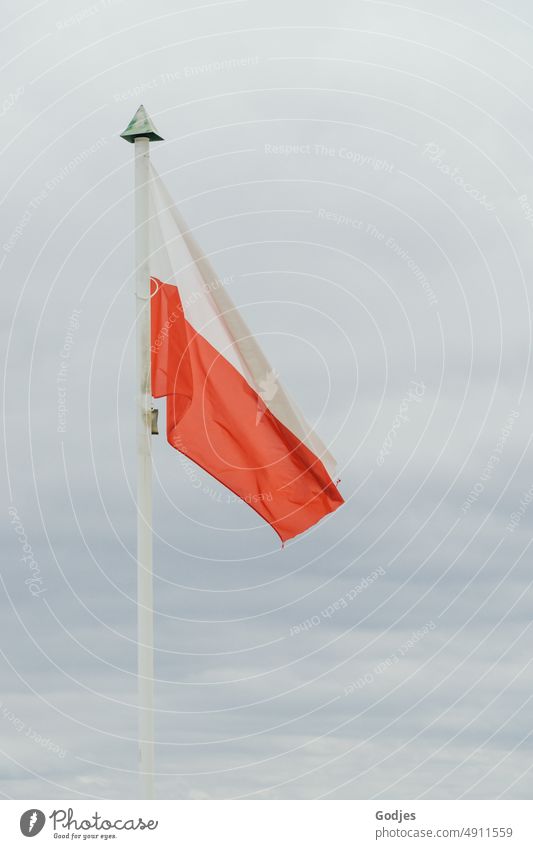 Polnische Flagge an einem Fahnenmast polnisch Wolken Wind Himmel Nationalflagge flattern Nationalitäten u. Ethnien Patriotismus wehen Außenaufnahme Stolz