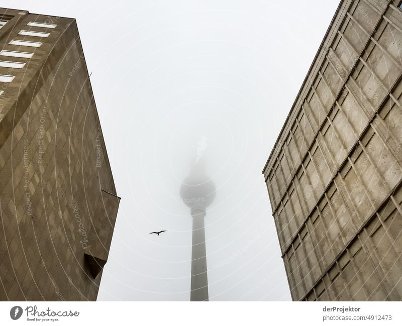 Fernsehturm in Berlin im Nebel mit Vogel gerahmt von zwei Einkaufshäusern Berliner Fernsehturm Denkmal Wahrzeichen schlechtes Wetter grau Stadt Berlin Mitte