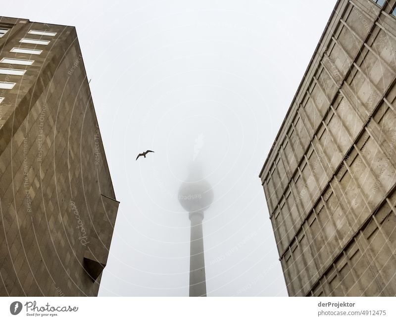 Fernsehturm in Berlin im Nebel gerahmt von zwei Einkaufshäusern Muster abstrakt Urbanisierung Hauptstadt Textfreiraum rechts Textfreiraum links Coolness