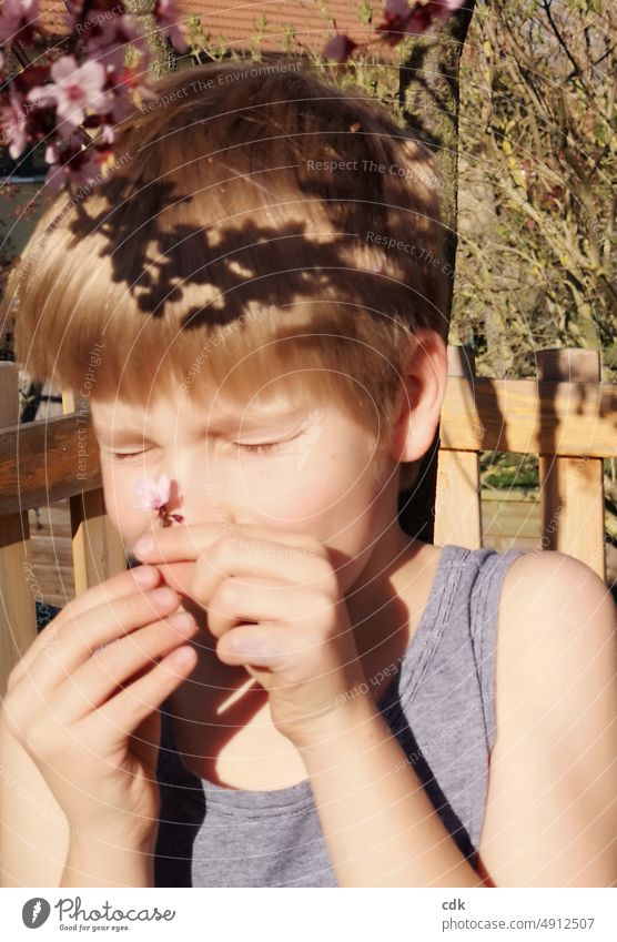 Kindheit | Sonne auf der Haut | Kirschblüten im Haar | im Baumhaus spielend. Mensch Junge Porträt Gesicht Ausdruck geschlossene Augen sonnig blond jung Haare