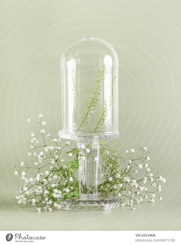 Transparente Glasglocke mit weißen Gypsophila-Blüten auf blassgrünem Hintergrund. durchsichtig Blumen Szene Schauplatz Vitrine neues Produkt Klingel Sauberkeit