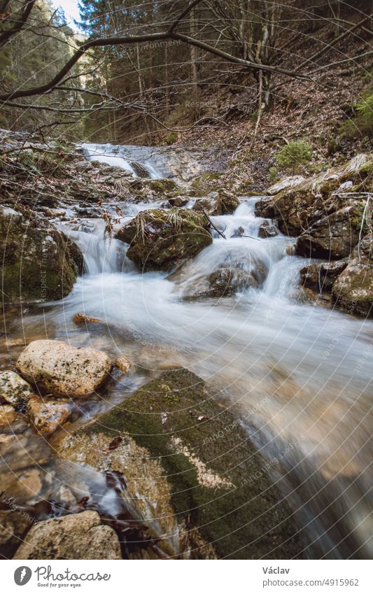 Schöne weiße Wasserfälle in einer felsigen Umgebung, bekannt als Janosikove diery, Kleine Fatra, Slowakei. Der Wasserstrom bahnt sich seinen Weg durch die Felsen. Wasserfälle Dieroveho potoka
