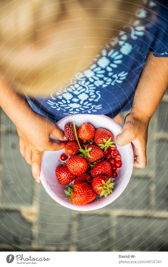 Kind nach dem pflücken mit frischen Beeren aus dem Garten Ernte Obst lecker selbstversorger niedlich erdbeeren rot Vitamine Kindererziehung köstlich