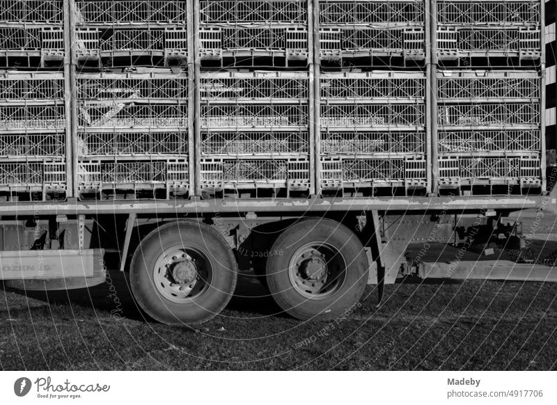 Tandemauflieger mit Zwillingsreifen eines großen Viehtransporter für Geflügel im Dorf Maksudiye bei Adapazari in der Provinz Sakarya in der Türkei, fotografiert in neorealistischem Schwarzweiß