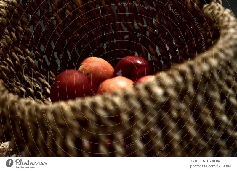 Einige leuchtend rot orange Äpfel liegen in einem von Hand geflochtenen rustikalen Weidenkorb, bald kommt der Herbst Kontrast Früchte Natur bio Handarbeit