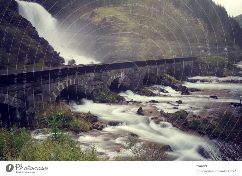 Wasserfall Landschaft Herbst Fluss ästhetisch kalt grau grün Bewegung Norwegen Lastwagen Farbfoto Außenaufnahme Menschenleer Textfreiraum oben Tag