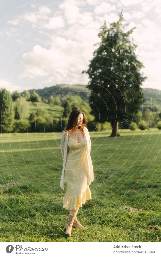 Junge Frau auf einem Feld im Sommer Landschaft Wiese Gras Kleid Natur Zeitvertreib Erholung feminin Waldgebiet Dame ländlich Flora grasbewachsen Freizeit
