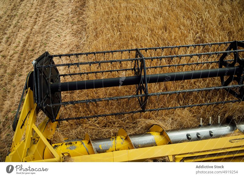 Mähdrescher bei der Weizenernte auf dem Feld Erntemaschine Korn Ackerbau Maschine Landschaft Rolle Bauernhof Detailaufnahme Mechanismus Müsli abholen Industrie