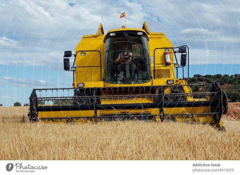 Mähdrescher auf einem landwirtschaftlichen Feld Erntemaschine Korn abholen Ackerbau Maschine Landschaft Ackerland Weizen natürlich Fahrzeug Müsli industriell