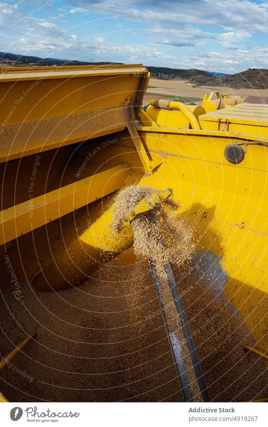 Mähdrescher mit Getreidebeständen Erntemaschine Korn abholen Ackerbau Weizen Anhänger Feld eingießen Landschaft Müsli Saison Samen Maschine industriell Element