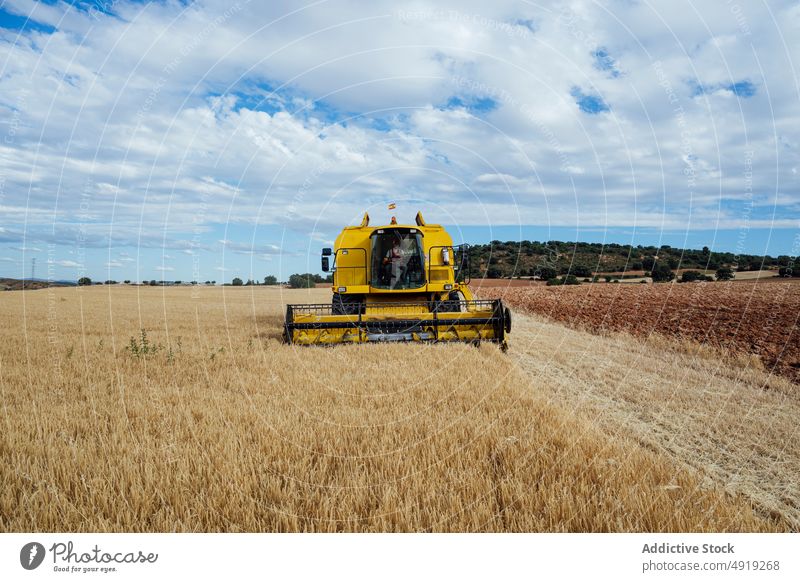 Mähdrescher auf einem landwirtschaftlichen Feld Ernte Korn abholen Ackerbau Maschine Landschaft Laufwerk Industrie Bauernhof natürlich kultivieren ländlich
