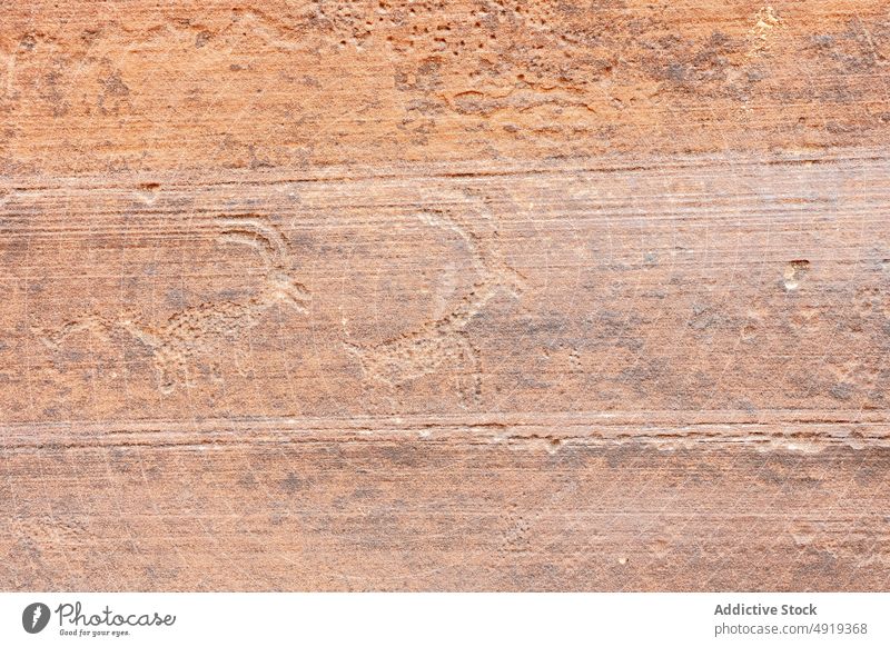 Ziegen-Petroglyphen auf Steinoberfläche Wand schnitzen prähistorisch kreativ rau Oberfläche Hintergrund Wildledergulch Utah USA Vereinigte Staaten amerika