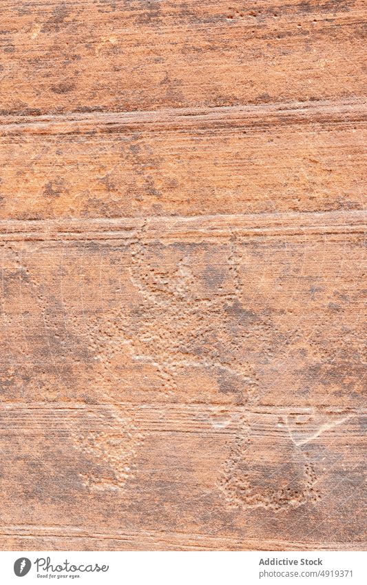 Ziegen-Petroglyphen auf Steinoberfläche Wand schnitzen prähistorisch kreativ rau Oberfläche Hintergrund Wildledergulch Utah USA Vereinigte Staaten amerika