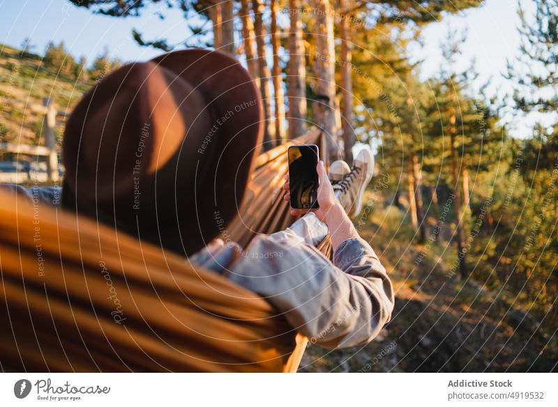 Mann sitzt in Hängematte auf dem Lande Browsen zuschauend Wald ruhen Smartphone Telefon Mobile Natur Erholung Wälder Freizeit Kälte Landschaft Zeitvertreib