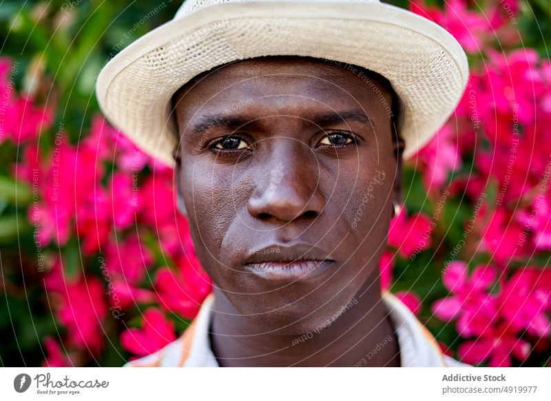 Glücklicher schwarzer Mann in der Nähe eines blühenden Busches Straße Buchse Blume Pflanze Vorschein Großstadt geblümt Kleidung Stil Afroamerikaner ethnisch