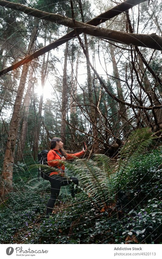 Weiblicher Wanderer macht Selfie im Wald Frau Pause ruhen Wochenende nehmen Foto reisen Smartphone Wälder Selbstportrait Reisender Baum Natur Mobile Telefon
