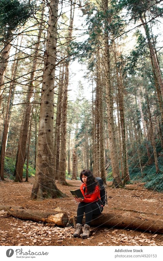 Weiblicher Tourist liest Buch im Wald Frau lesen Totholz Baum ruhen reisen Rucksack Reise sich[Akk] entspannen Hobby Wochenende Waldgebiet Kofferraum Wälder