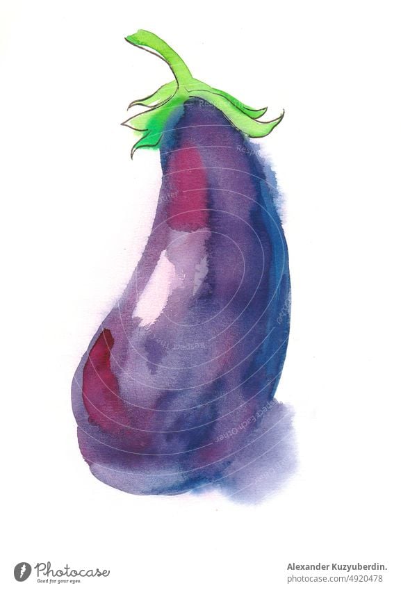Lila Aubergine. Tusche- und Aquarellzeichnung Lebensmittel Gemüse tatsy Ernte Kunst Kunstwerk Hintergrund Karikatur Clip-Art Zeichnung Grafik u. Illustration