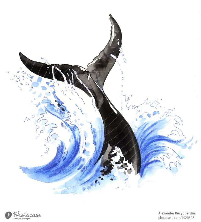 Walgeschichte im blauen Meerwasser. Tusche- und Aquarellzeichnung Geschichte Delphin Tier MEER Wasser winken Natur Wasserfarbe Skizze Grafik u. Illustration